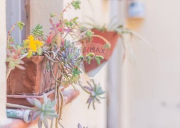 Dettagli - Bilocale Via Del Fiore
 
77, Ischia di Castro - foto 8