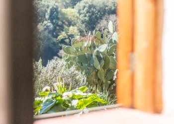 Dettagli - Bilocale Via Del Fiore
 
77, Ischia di Castro - foto 24