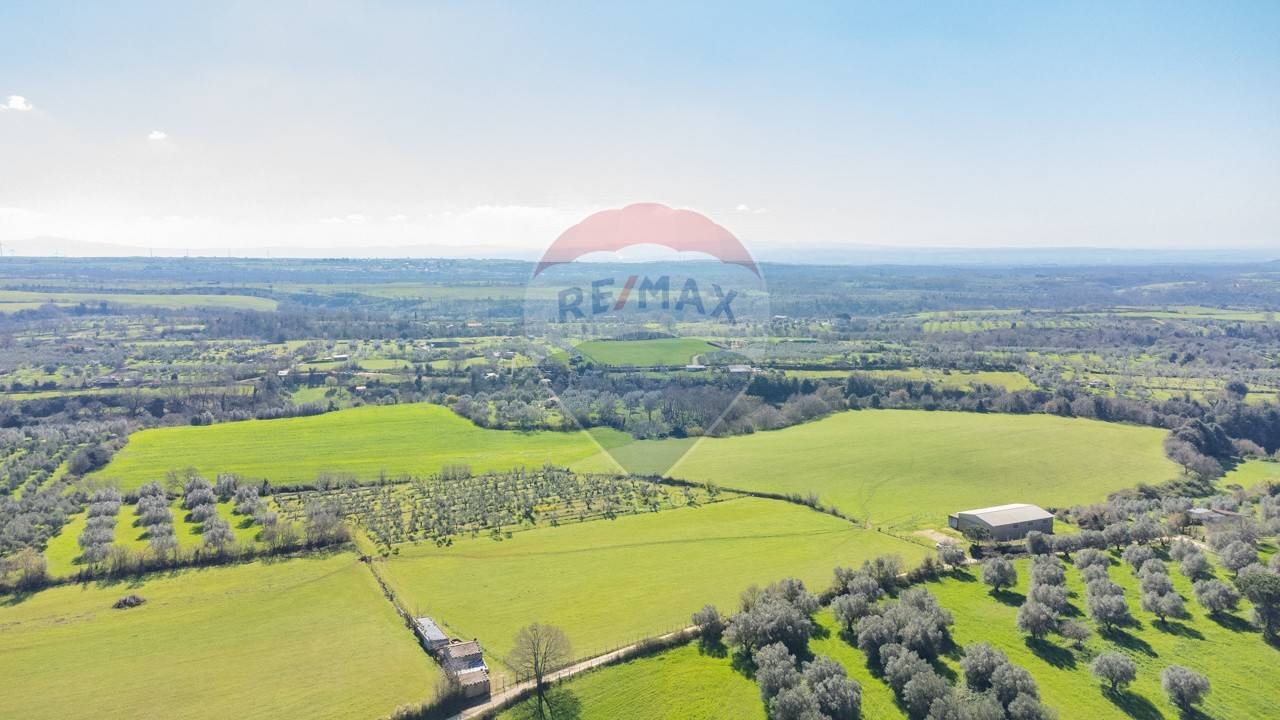 Vista delle montagne - Terreno agricolo Via di Cellere
 
snc, Ischia di Castro - foto 3