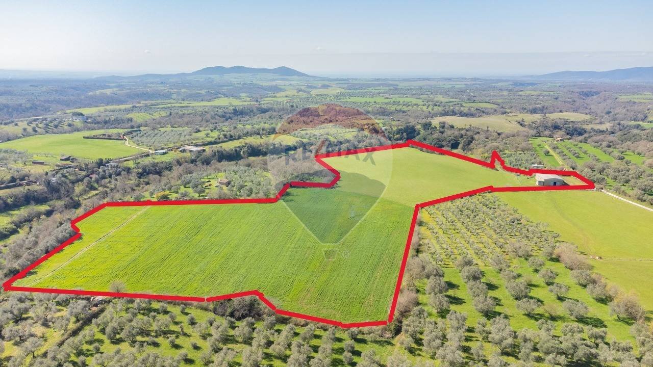 Posizione della mappa - Terreno agricolo Via di Cellere
 
snc, Ischia di Castro - foto 2