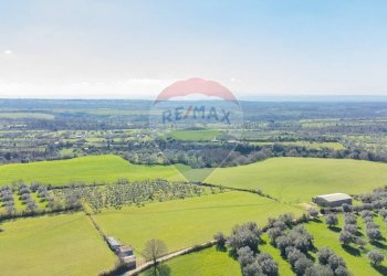 Vista delle montagne - Terreno agricolo Via di Cellere
snc, Ischia di Castro - foto 3