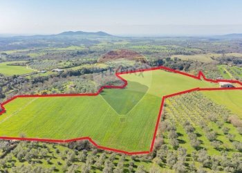 Posizione della mappa - Terreno agricolo Via di Cellere
snc, Ischia di Castro - foto 2