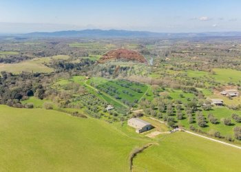 Vista delle montagne - Terreno agricolo Via di Cellere
snc, Ischia di Castro - foto 6