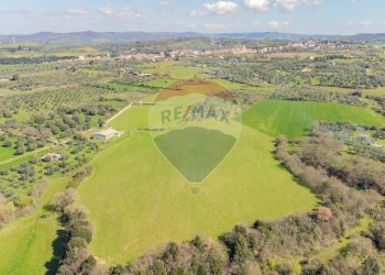 Vista delle montagne - Terreno agricolo Via di Cellere
snc, Ischia di Castro - foto 7