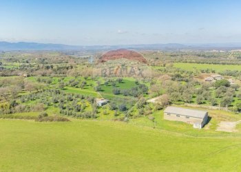 Vista delle montagne - Terreno agricolo Via di Cellere
snc, Ischia di Castro - foto 8