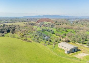 Vista delle montagne - Terreno agricolo Via di Cellere
snc, Ischia di Castro - foto 9