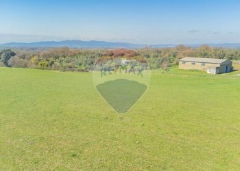 Vista delle montagne - Terreno agricolo Via di Cellere
snc, Ischia di Castro - foto 10