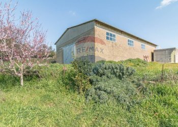 Casa all\'aperto - Terreno agricolo Via di Cellere
snc, Ischia di Castro - foto 11