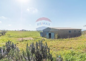 Casa all\'aperto - Terreno agricolo Via di Cellere
snc, Ischia di Castro - foto 14