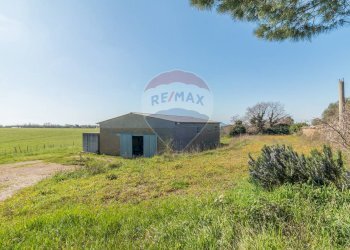 Casa all\'aperto - Terreno agricolo Via di Cellere
snc, Ischia di Castro - foto 15