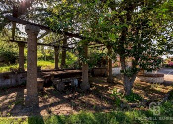 Foto 5 - Casa indipendente Calcata - foto 5