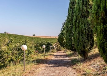 Foto 12 - Casa indipendente Calcata - foto 12