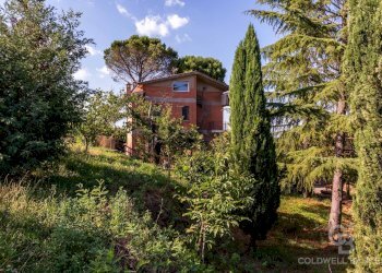 Foto 14 - Casa indipendente Calcata - foto 14