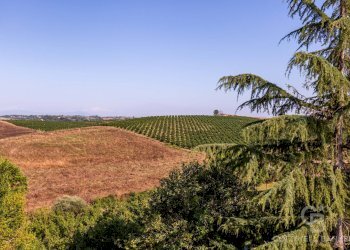 Foto 18 - Casa indipendente Calcata - foto 18