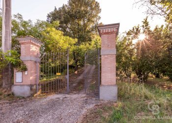 Foto 37 - Casa indipendente Calcata - foto 37