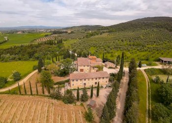 Foto 3 - Azienda agricola MONTALCETO, Asciano - foto 3