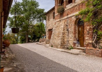 Foto 9 - Azienda agricola MONTALCETO, Asciano - foto 9