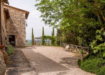 Foto 13 - Azienda agricola MONTALCETO, Asciano - foto 13