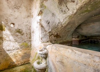 Foto 21 - Azienda agricola MONTALCETO, Asciano - foto 21