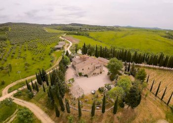 Foto 22 - Azienda agricola MONTALCETO, Asciano - foto 22