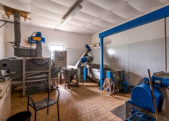 Foto 38 - Azienda agricola MONTALCETO, Asciano - foto 38