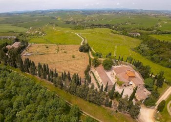 Foto 39 - Azienda agricola MONTALCETO, Asciano - foto 39