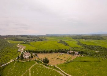 Foto 41 - Azienda agricola MONTALCETO, Asciano - foto 41