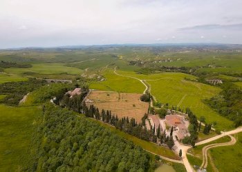 Foto 42 - Azienda agricola MONTALCETO, Asciano - foto 42