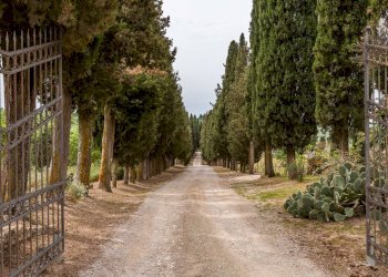 Foto 12 - Villa MONTALCETO, Asciano - foto 12