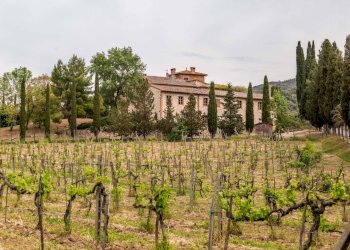 Foto 19 - Villa MONTALCETO, Asciano - foto 19