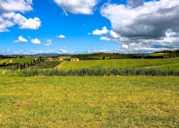 Foto 9 - Casa indipendente Località Guinzoni, Manciano - foto 9