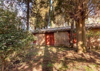 Foto 7 - Rustico Strada provinciale di Palazzo Venturi, Asciano - foto 7