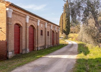 Foto 19 - Rustico Strada provinciale di Palazzo Venturi, Asciano - foto 19