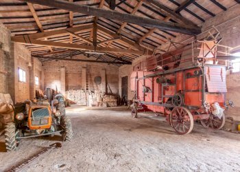 Foto 21 - Rustico Strada provinciale di Palazzo Venturi, Asciano - foto 21