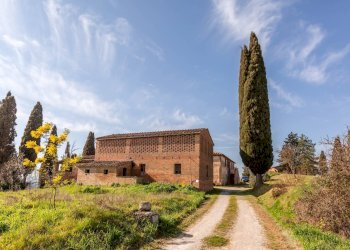 Foto 23 - Rustico Strada provinciale di Palazzo Venturi, Asciano - foto 23
