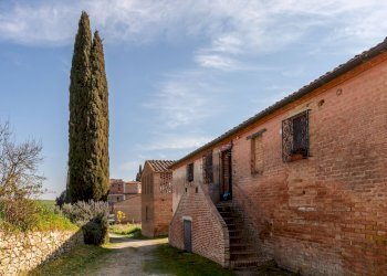 Foto 24 - Rustico Strada provinciale di Palazzo Venturi, Asciano - foto 24