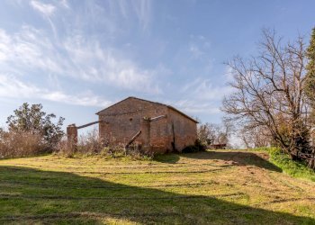 Foto 30 - Rustico Strada provinciale di Palazzo Venturi, Asciano - foto 30