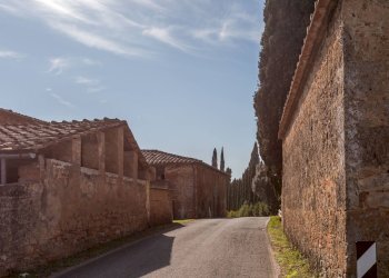 Foto 44 - Rustico Strada provinciale di Palazzo Venturi, Asciano - foto 44