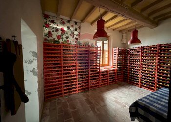 Cantina - Casa semi indipendente Via del Porto, Polesine Zibello - foto 17