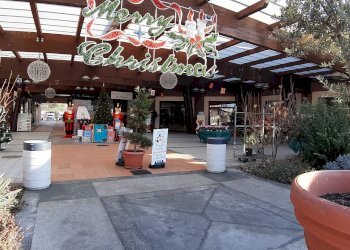 Foto 14 - Commercial Activity Via Torino
168, San Francesco al Campo - photo 14