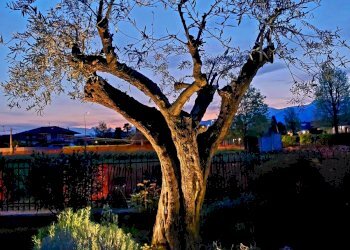 Foto 36 - Villa Via ai Colli
 
24, Barbania - photo 36