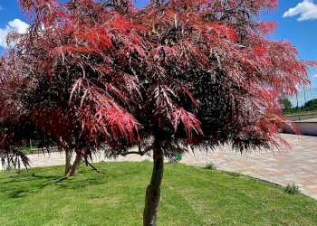 Foto 47 - Villa Via ai Colli
 
24, Barbania - photo 47