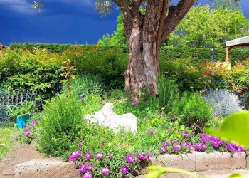 Foto 53 - Villa Via ai Colli
 
24, Barbania - photo 53