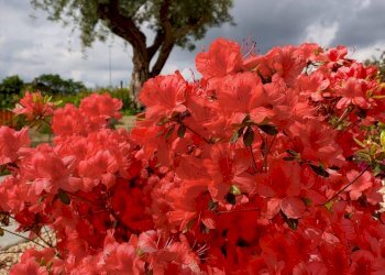 Foto 55 - Villa Via ai Colli
 
24, Barbania - photo 55