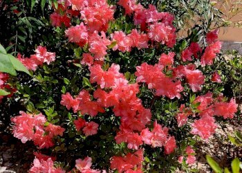 Foto 56 - Villa Via ai Colli
 
24, Barbania - photo 56