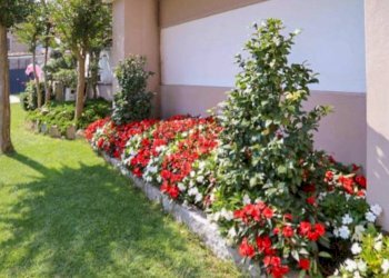 Foto 8 - Casa semi indipendente Via Cavour
 
1, Zimone - foto 8