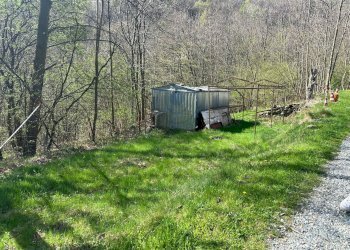 Foto 22 - Casa indipendente Borgata Re, Giaveno - foto 22