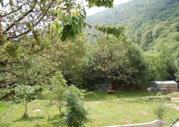 Foto 26 - Casa indipendente Borgata Re, Giaveno - foto 26