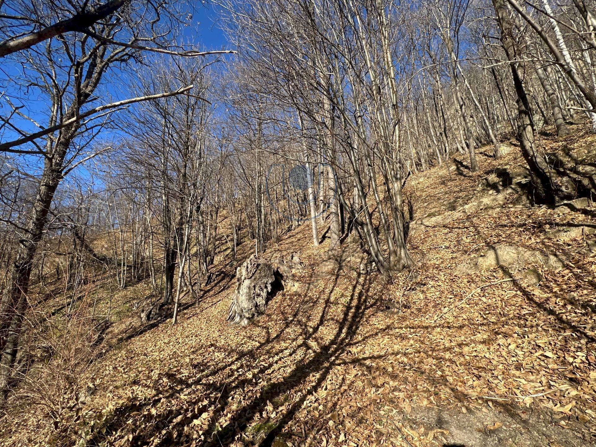 Foto 3 - Independent house borgata Mattiet, Giaveno - photo 3