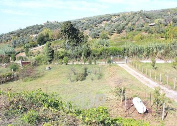 Foto 48 - Casa indipendente Strada di Colle Caldarino
 
6, Palombara Sabina - foto 48